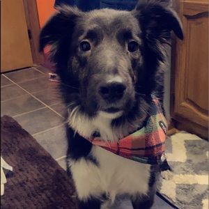 Meet your Posher, Laura